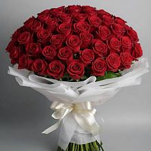 Букет 101 Красная роза Блэк Мэджик в Подколодновке