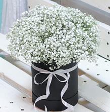 Цветочная композиция из Гипсофила в шляпной коробке #REPLACE_PRED# Подколодновке