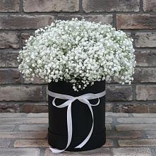 Цветочная композиция из Гипсофила в шляпной коробке в Подколодновке