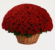 Премиум букет из: Розы в Подколодновке